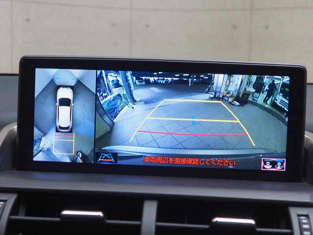 レクサス NX300h スパイス&シック