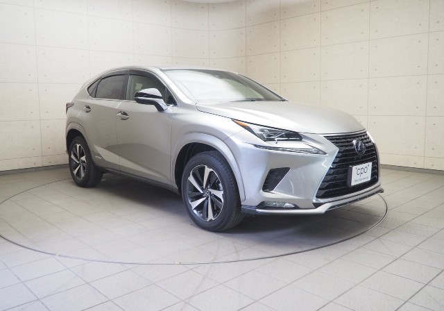 レクサス NX300h スパイス&シック