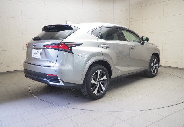 レクサス NX300h スパイス&シック