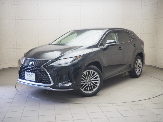 RX300 ヒョウジュンシャ