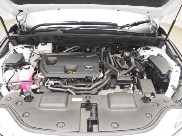 レクサス NX350h Fスポーツ