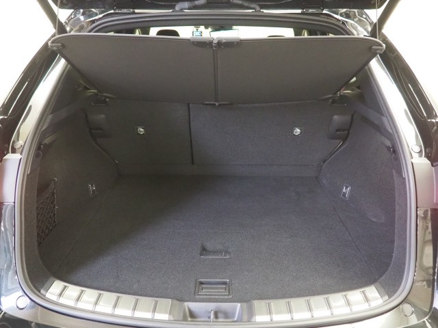 レクサス NX350h バージョンL