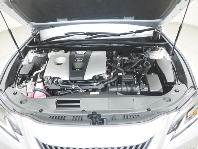 レクサス ES300h ヒョウジュンシャ