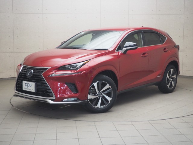 レクサス NX300h スパイク&シック