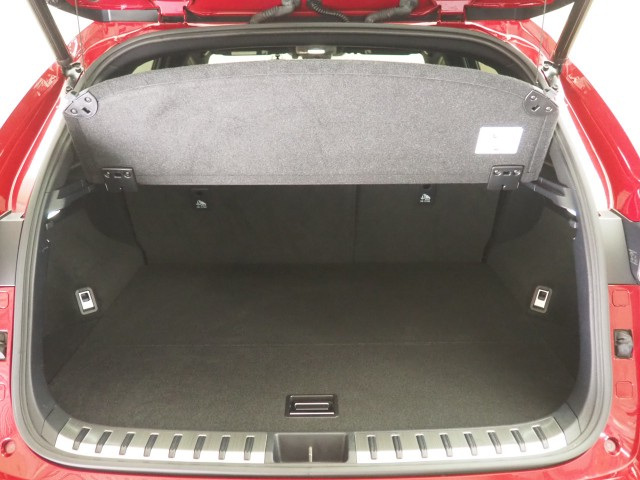 レクサス NX300h スパイク&シック