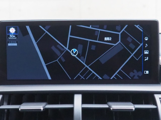 レクサス NX300h スパイク&シック
