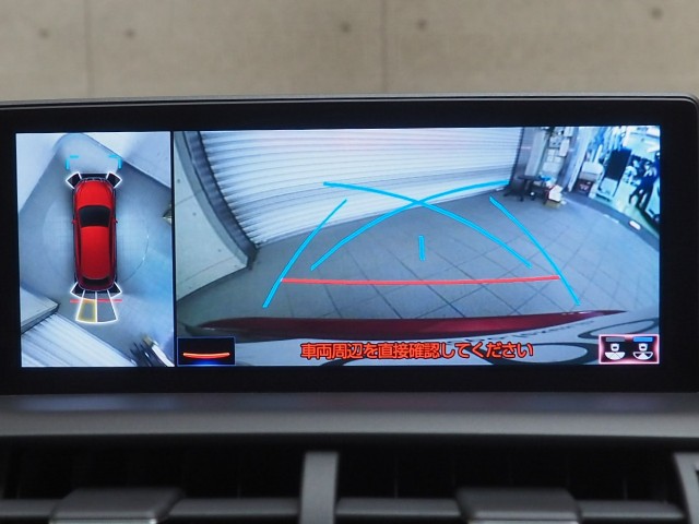 レクサス NX300h スパイク&シック