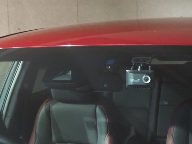 レクサス NX300h スパイク&シック