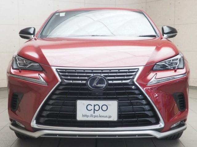 レクサス NX300h スパイク&シック
