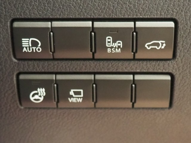 レクサス NX300h スパイク&シック