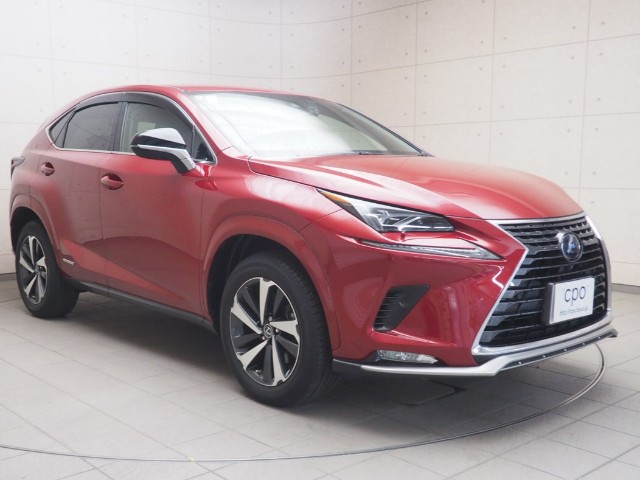 レクサス NX300h スパイク&シック