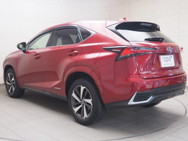 レクサス NX300h スパイク&シック