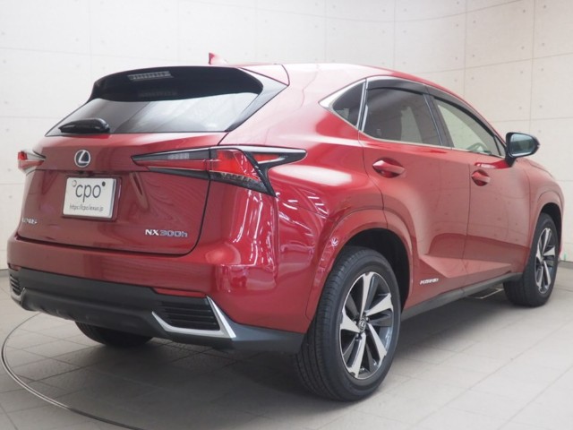 レクサス NX300h スパイク&シック