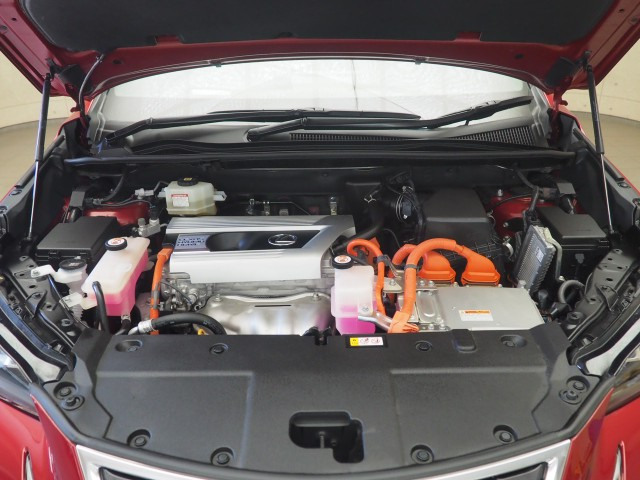 レクサス NX300h スパイク&シック