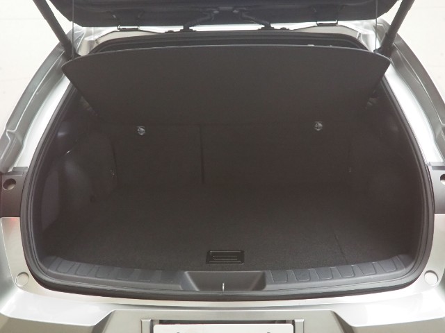 レクサス UX250h バージョンL
