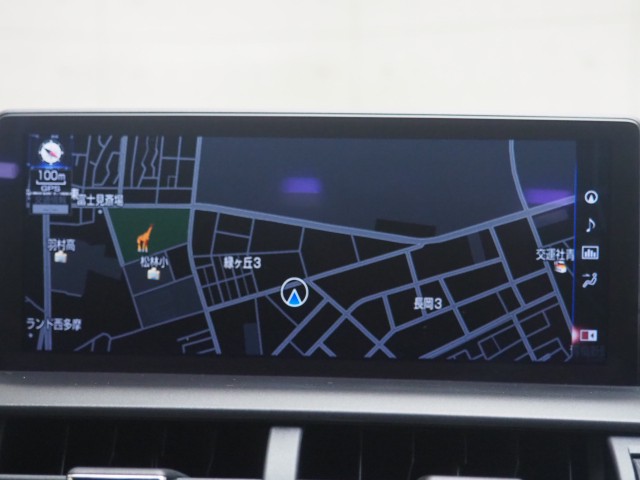 レクサス NX300h クール&ブライト