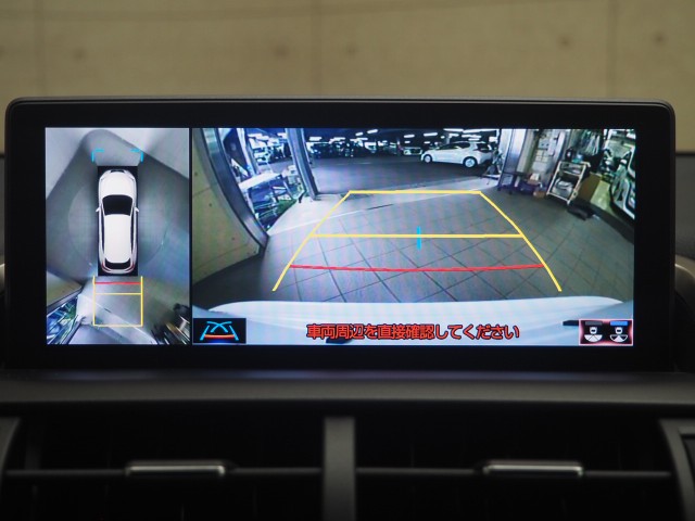 レクサス NX300h クール&ブライト