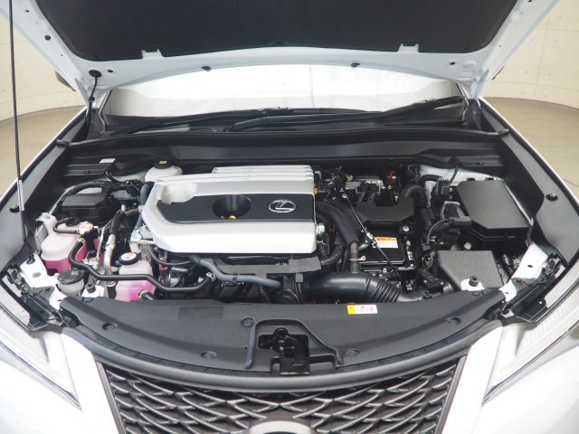 レクサス UX250h Fスポエモ Exp