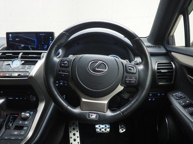 レクサス NX300h クール&ブライト