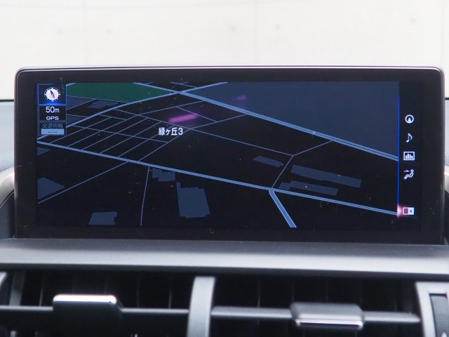 レクサス NX300h クール&ブライト