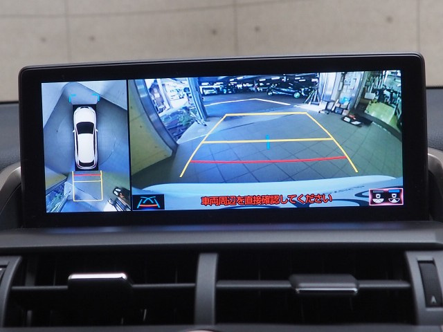 レクサス NX300h クール&ブライト