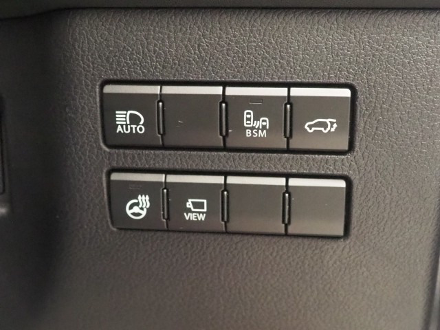 レクサス NX300h クール&ブライト