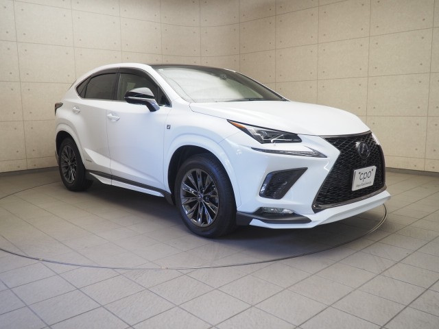 レクサス NX300h クール&ブライト