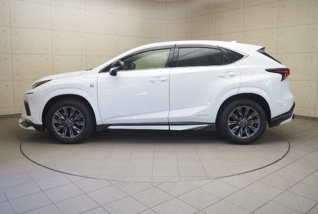 レクサス NX300h クール&ブライト