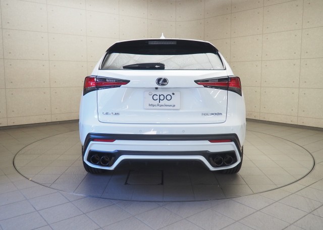 レクサス NX300h クール&ブライト