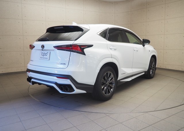 レクサス NX300h クール&ブライト