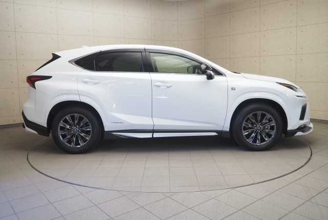 レクサス NX300h クール&ブライト