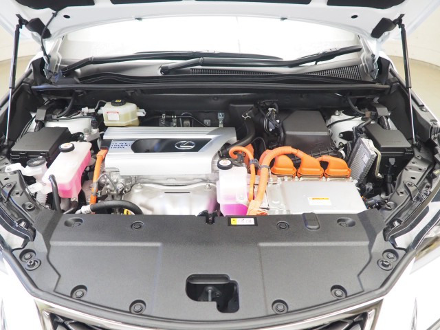 レクサス NX300h クール&ブライト