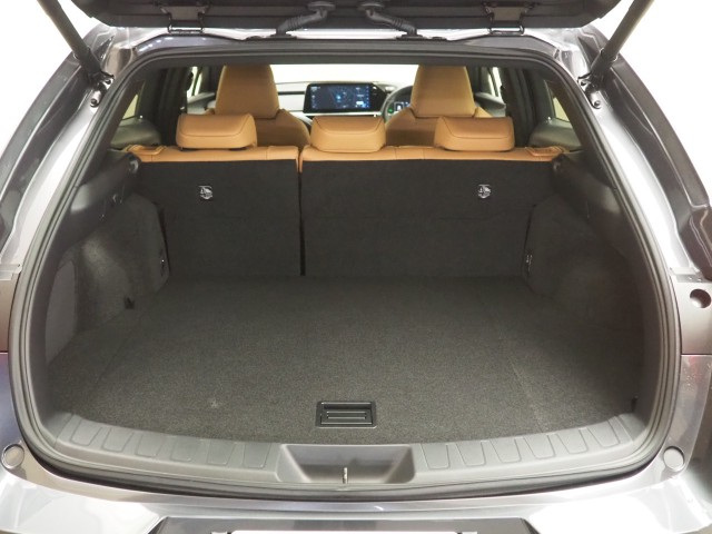 レクサス UX250h バージョンL