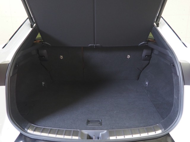 レクサス RZ450e バージョンL