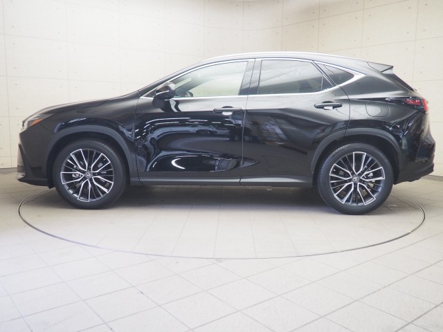 レクサス NX250 ヒョウジュンシャ