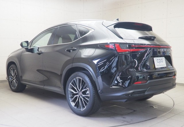 レクサス NX250 ヒョウジュンシャ