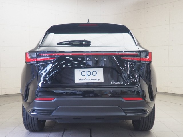 レクサス NX250 ヒョウジュンシャ