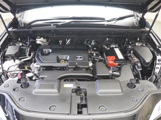 レクサス NX250 ヒョウジュンシャ