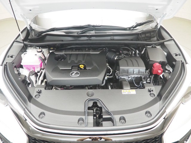 レクサス LBX モリゾウ RR