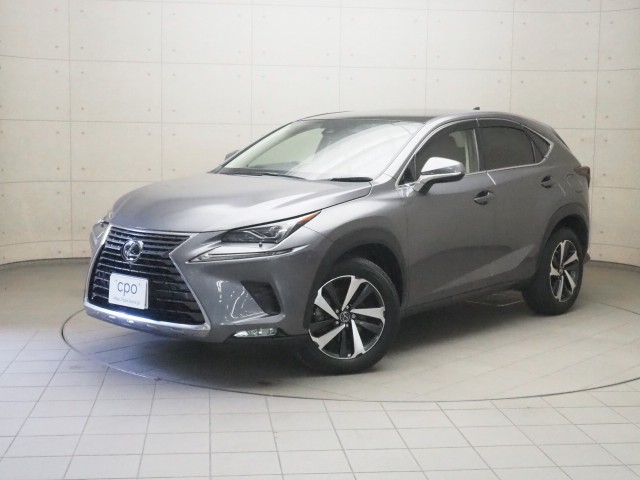 レクサス NX300 バージョンL