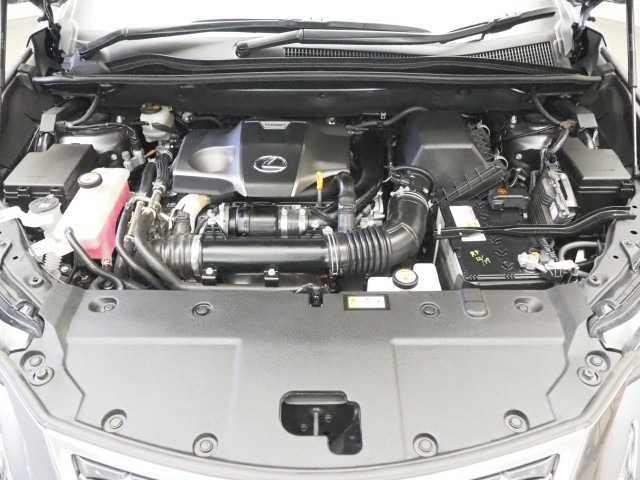 レクサス NX300 バージョンL