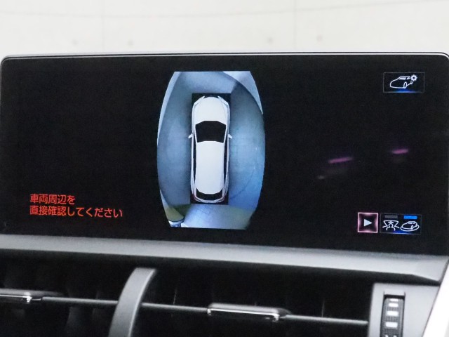 レクサス NX300 バージョンL
