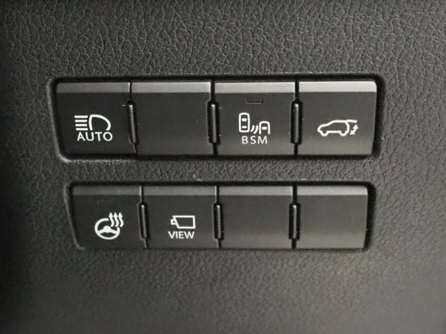 レクサス NX300 バージョンL