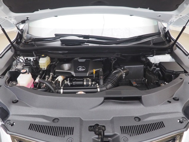 レクサス RX300 Fスポーツ