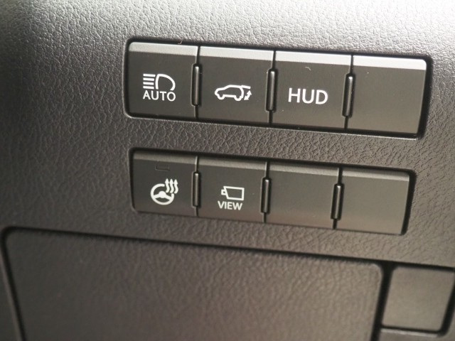 レクサス RX300 Fスポーツ