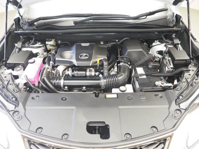 レクサス NX300 Fスポーツ