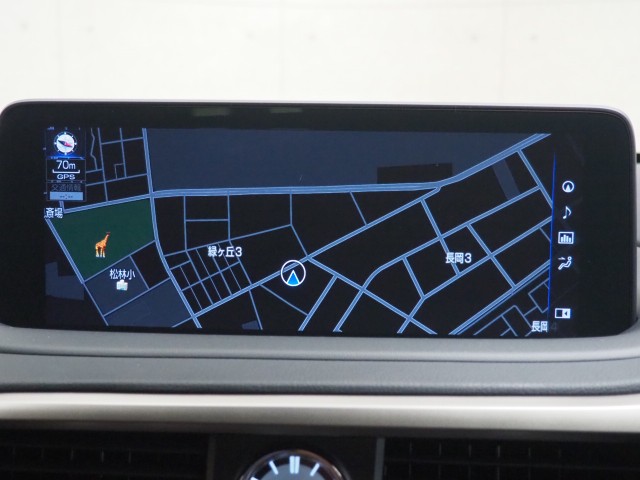 レクサス RX300 Fスポーツ