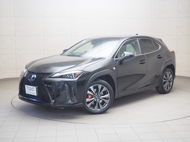 UX250h Fスポーツ