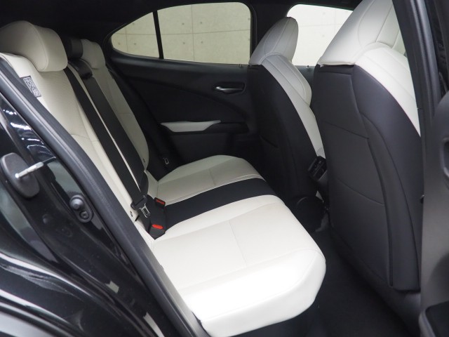 レクサス UX250h Fスポーツ