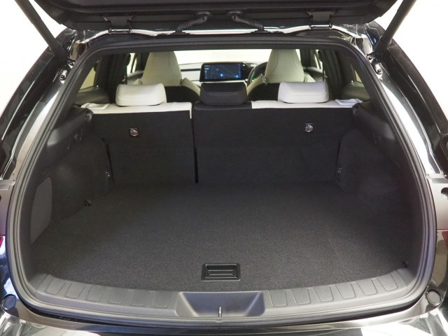 レクサス UX250h Fスポーツ